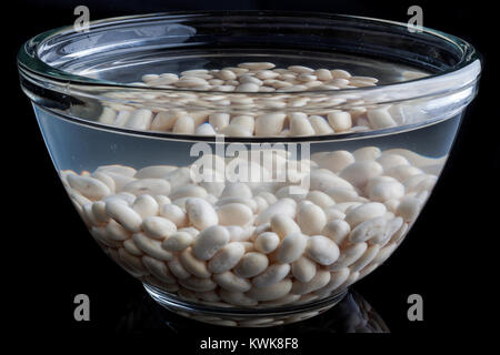 Fagioli bianchi imbevuto in acqua in un recipiente di vetro Foto Stock