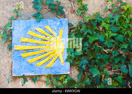 Camino de Santiago, o Via di San Giacomo, segno della shell sul muro di pietra con foglie d'edera Foto Stock