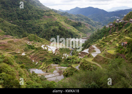 Terrazze di riso di Banaue, Filippine Foto Stock