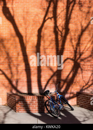 In inverno la luce del sole proietta ombre ad albero sulla bicicletta e costruzione di mattoni Foto Stock