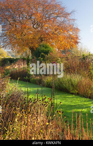 Hall Farm giardino, Harpswell, Lincolnshire, Regno Unito. In autunno, novembre 2017. Foto Stock