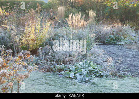 Hall Farm giardino, Harpswell, Lincolnshire, Regno Unito. In autunno, novembre 2017. Foto Stock