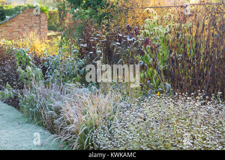 Hall Farm giardino, Harpswell, Lincolnshire, Regno Unito. In autunno, novembre 2017. Foto Stock