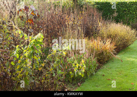 Hall Farm giardino, Harpswell, Lincolnshire, Regno Unito. In autunno, novembre 2017. Foto Stock