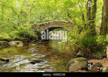 Un riverside immagine del ponte Hisley un vecchio packhorse ponte sopra il fiume Bovey, girato a Dartmoor Devon, Inghilterra, Regno Unito Foto Stock