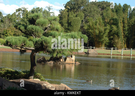 Ambiente tranquillo nel giardino giapponese, Toowoomba, Queensland, Australia Foto Stock