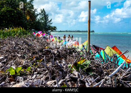 Una buona giornata di vento per il kitesurf a Las Picuas beach in Rio Grande Puerto Rico. Foto Stock