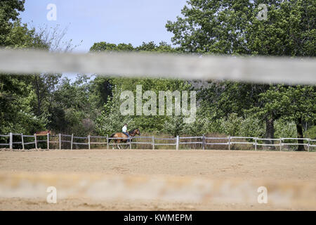 Illinois City, Iowa, USA. 3° Ott, 2017. Rockridge studente di scuola superiore Nick Berenger, 16 prende il suo cavallo, scooter, per il raffreddamento a piedi attorno all'arena a forte tuono Forest Preserve in Illinois City il Martedì, 3 ottobre 2017. Il Hayburners 4-H Club ospiterà la terza marcia annuale per fame Horse Show beneficiando l'ansa del fiume Foodbank Sabato seguita dall'Illinois City Club Sella che ospiterà il Wade Maynard Memorial Show la Domenica. Credito: Andy Abeyta, Quad-City volte/Quad-City volte/ZUMA filo/Alamy Live News Foto Stock