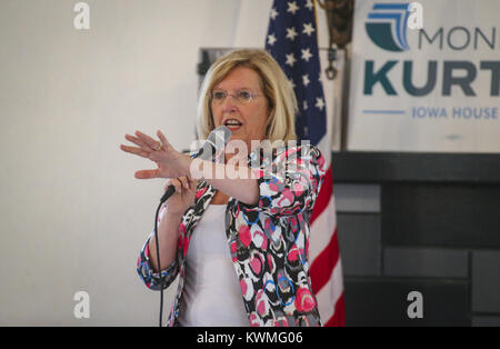 Davenport, Iowa, USA. 20 agosto 2017. Candidato Gubernatorial Andy McGuire parla alla Duck Creek Lodge a Davenport Domenica, 20 agosto 2017. Scott County Democrats hanno tenuto il loro picnic estivo con quattro candidati per il governatore dello Iowa di presenze. Credito: Andy Abeyta, Quad-City volte/Quad-City volte/ZUMA filo/Alamy Live News Foto Stock