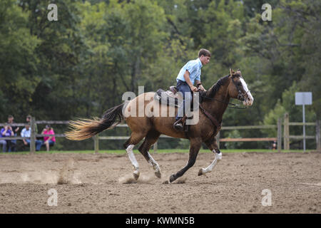 Illinois City, Iowa, USA. 3° Ott, 2017. Rockridge studente di scuola superiore Nick Berenger, 16, corre barili con gli scooter, i suoi 14-anno-vecchio show cavallo, a forte tuono Forest Preserve in Illinois City il Martedì, 3 ottobre 2017. Il Hayburners 4-H Club ospiterà la terza marcia annuale per fame Horse Show beneficiando l'ansa del fiume Foodbank Sabato seguita dall'Illinois City Club Sella che ospiterà il Wade Maynard Memorial Show la Domenica. Credito: Andy Abeyta, Quad-City volte/Quad-City volte/ZUMA filo/Alamy Live News Foto Stock