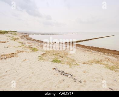 I frangiflutti in legno su una spiaggia del Mar Baltico con un sole nascosto in nuvole basse. Regolare il livello di acqua dopo la tempesta. Foto Stock