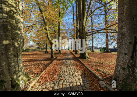Vecchia strada di ciottoli nel giardino botanico a Gimle Gaard, in Kristiansand, Norvegia Foto Stock