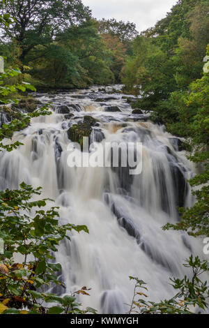 Swallow falls, Betwys y coed, Wales, Regno Unito Foto Stock