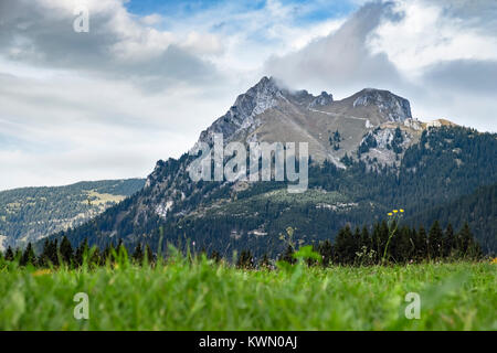 Immagine paesaggio di Tannheimer Tal in Austria, Europa Foto Stock