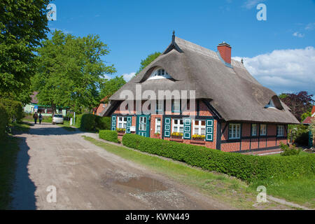 Tipica con tetto di paglia casa di Wustrow, Fishland, Meclemburgo-Pomerania, Mar Baltico, Germania, Europa Foto Stock