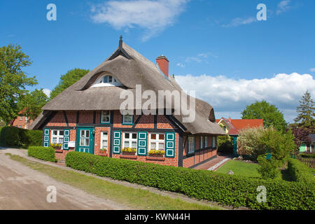 Tipica con tetto di paglia casa di Wustrow, Fishland, Meclemburgo-Pomerania, Mar Baltico, Germania, Europa Foto Stock