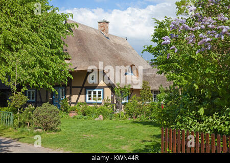 Tipica con tetto di paglia casa di Wustrow, Fishland, Meclemburgo-Pomerania, Mar Baltico, Germania, Europa Foto Stock