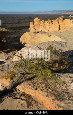 Scogliere di arenaria si affacciano su Vista, El Malpais monumento nazionale, Nuovo Messico Foto Stock