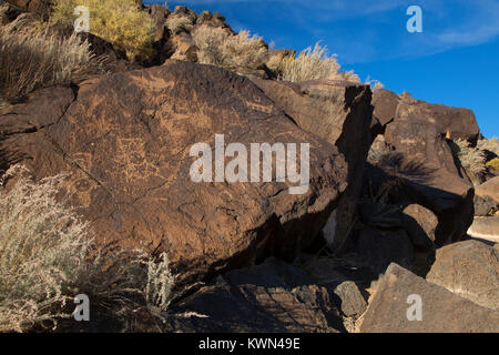 Petroglyph, Piedras Marcadas Canyon, unità di Petroglyph National Monument, Nuovo Messico Foto Stock