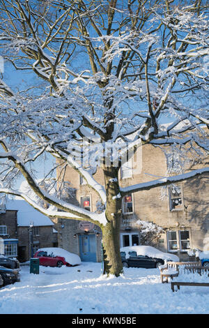 Neve a copertura di un albero in luogo del mercato. Stow on the Wold, Cotswolds, Gloucestershire, Inghilterra Foto Stock