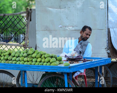 Bodhgaya,, India - Lug 9, 2015. Un uomo vendita di frutti di mango, sulla strada di Bodhgaya,, India. Bodh Gaya è considerato uno dei più importanti il pil buddista Foto Stock