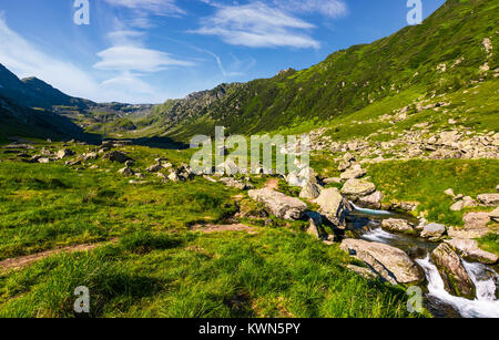 Flusso tra le rocce in valle erbosa. splendida estate paesaggio dei Monti Fagaras Foto Stock