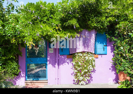 Colorata viola e blu casa isola di Burano Venezia Italia con superriduttore di glicine e fiori d'estate Foto Stock