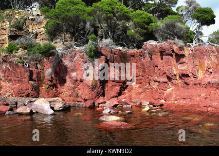 Rosso antico forme di roccia scogliera vicino Bittangabee Bay in Ben Boyd National Park, Eden, NSW, Australia. Costa di zaffiro, Australia regionale. Foto Stock