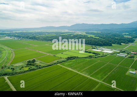 Ishikari di pianura e di fiume Ishikari, Urausu città, quartiere Kabato, Hokkaido, Giappone Foto Stock