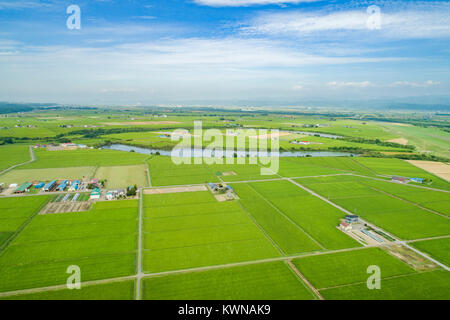 Ishikari di pianura e di fiume Ishikari, Urausu città, quartiere Kabato, Hokkaido, Giappone Foto Stock