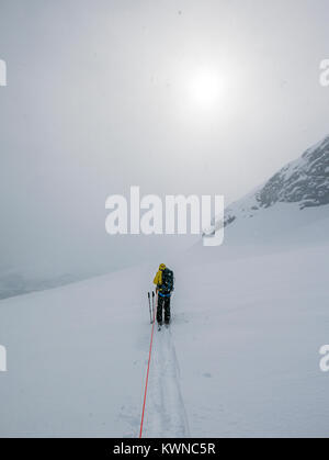 Sci alpinisti cordata insieme per la sicurezza da crepacci utilizzare pelli sintetiche sugli sci a salire in salita; Antartide Foto Stock