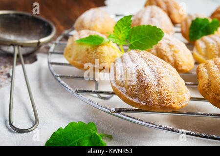 I cookie madeleines appena sfornato, filtro di zucchero a velo Foto Stock