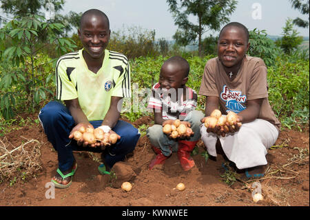 Famiglia tenendo manciate di appena raccolto di patate. Il Ruanda. Foto Stock