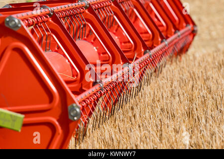 Close up di un Claas V900 35ft testata della mietitrebbia con telecamere collegate al lavoro, la raccolta di orzo. North Yorkshire, Regno Unito. Foto Stock