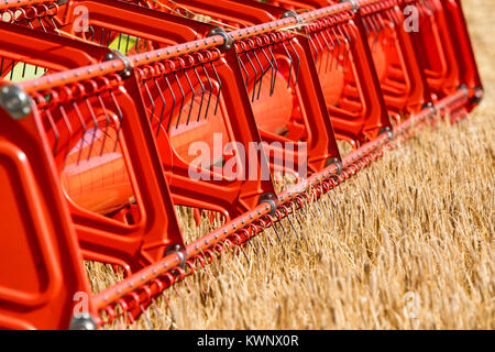 Close up di un Claas V900 35ft testata della mietitrebbia con telecamere collegate al lavoro, la raccolta di orzo. North Yorkshire, Regno Unito. Foto Stock