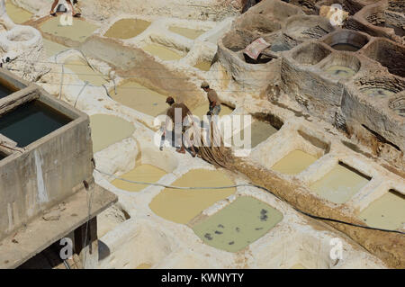 Il Chouara o i conciatori' trimestre, Fez. Il Marocco, Africa del Nord Foto Stock