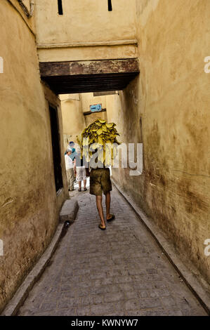 In pelle di conceria lavoratore, Fez, in Marocco, Africa del Nord Foto Stock