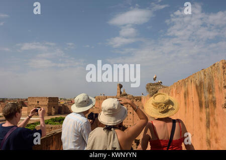 Cicogne nidi su Palazzo El Badi, Marrakech, Marocco, Africa del Nord Foto Stock