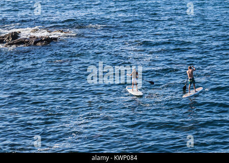 Paddle boarding la jolla cove san diego ca us Foto Stock