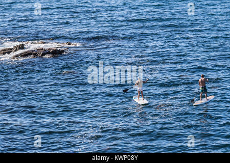 Paddle boarding la jolla cove san diego ca us Foto Stock