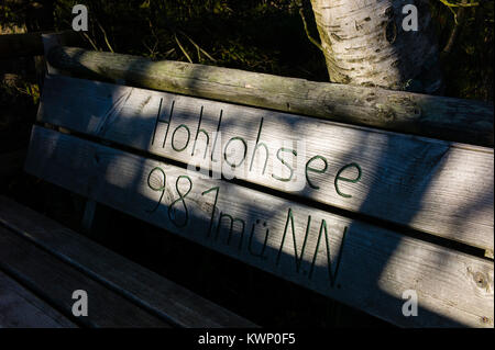 Hohlohsee bog vicino lago di Kaltenbronn Foresta Nera Baden-Württemberg, Germania Foto Stock