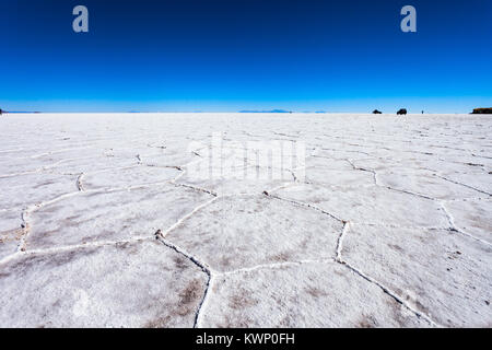 Salar de Uyuni (Salar de Tunupa) è i mondi più grande distesa di sale nei pressi di Uyuni, Bolivia Foto Stock