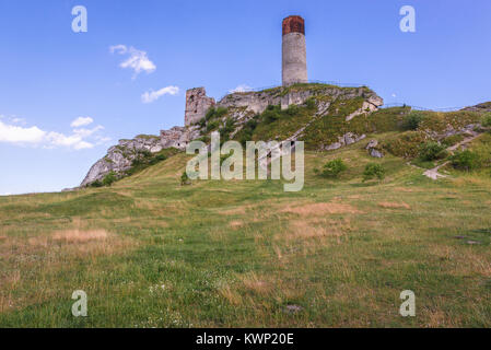 Rovine del castello del XIV secolo nel villaggio di Olsztyn, parte dei nidi delle aquile castello sistema nel voivodato di Slesia della Polonia meridionale Foto Stock