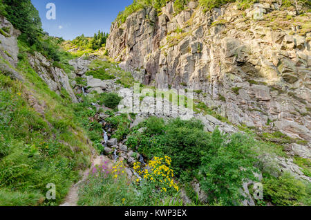 Labe (Elba) canyon, Monti dei Giganti (ceco: Krkonose, pol: Karkonosze), la gamma della montagna sul confine Czech-Polish, parte di Sudetes sistema montuoso, centra Foto Stock