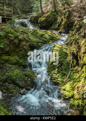 Dixon Brook, Fundy National Park, la baia di Fundy, New Brunswick, Canada. Foto Stock