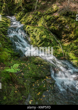 Dixon Brook, Fundy National Park, la baia di Fundy, New Brunswick, Canada. Foto Stock