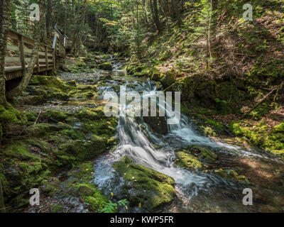 Dixon Brook, Fundy National Park, la baia di Fundy, New Brunswick, Canada. Foto Stock