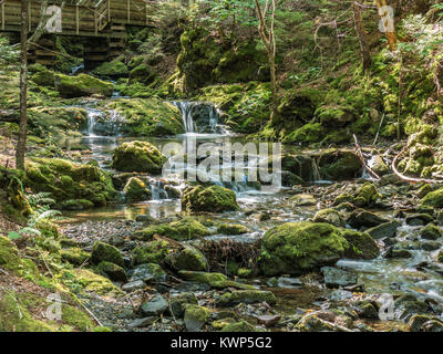 Dixon Brook, Fundy National Park, la baia di Fundy, New Brunswick, Canada. Foto Stock