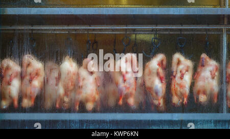 Arrosto di anatre appeso in un forno a un ristorante Cinese di Chinatown di Yokohama YOKOHAMA, Foto Stock