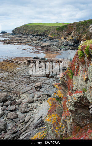 Una scialuppa di salvataggio abbandonate stazione è visibile dietro coloratissima vegetazione sulle scogliere di Polpeor Cove, la lucertola, Cornwall Foto Stock